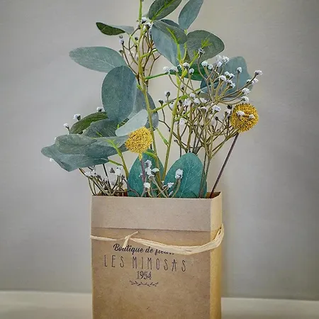 Joli Terrasse, Venizelos-cannes Centre A0b169 아파트