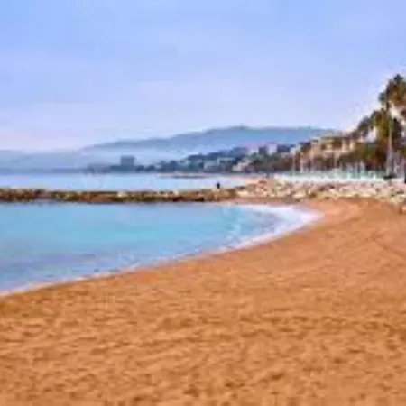 Joli Terrasse, Venizelos-cannes Centre A0b169 Cannes